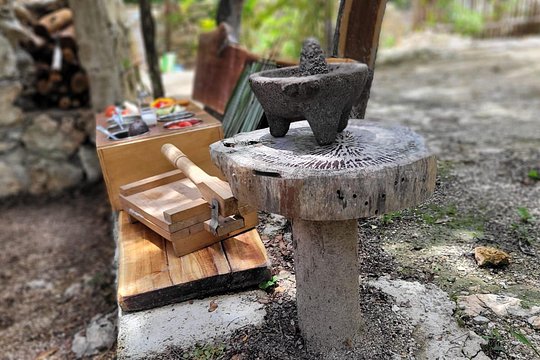 旅游团图片7