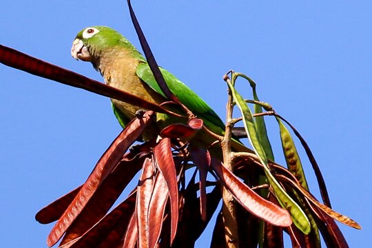 Imagen del tour 10
